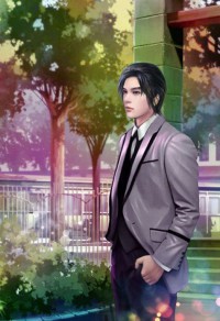 大盜系統