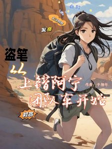 (盜墓筆記同人)盜筆:從上錯阿寧團隊車開始