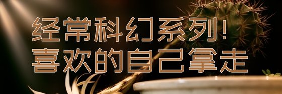 宝藏书单！各式各样的老书虫收藏